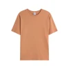 sandstone brown