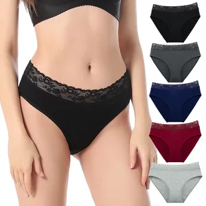 High-Rise Lace Hipster Panties Anti-Bacterial Feature Nylon/Cotton Material Multi-Size Everyday Solid Waist Customizable Logo