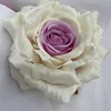 สีม่วงหัวใจ