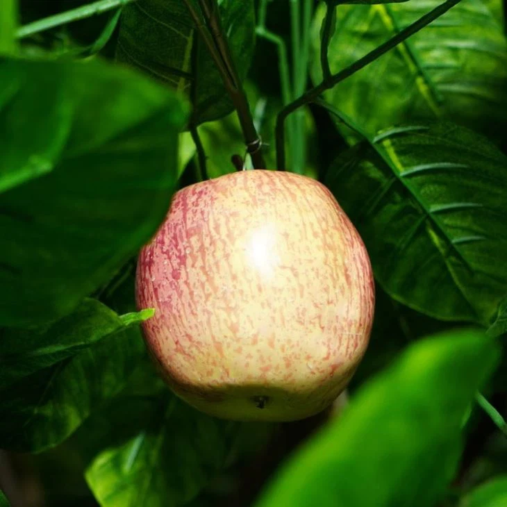 High Quality Decorative Artificial Green apple Tree Artificial Fruit Tree Long Life Use Wholesales Price