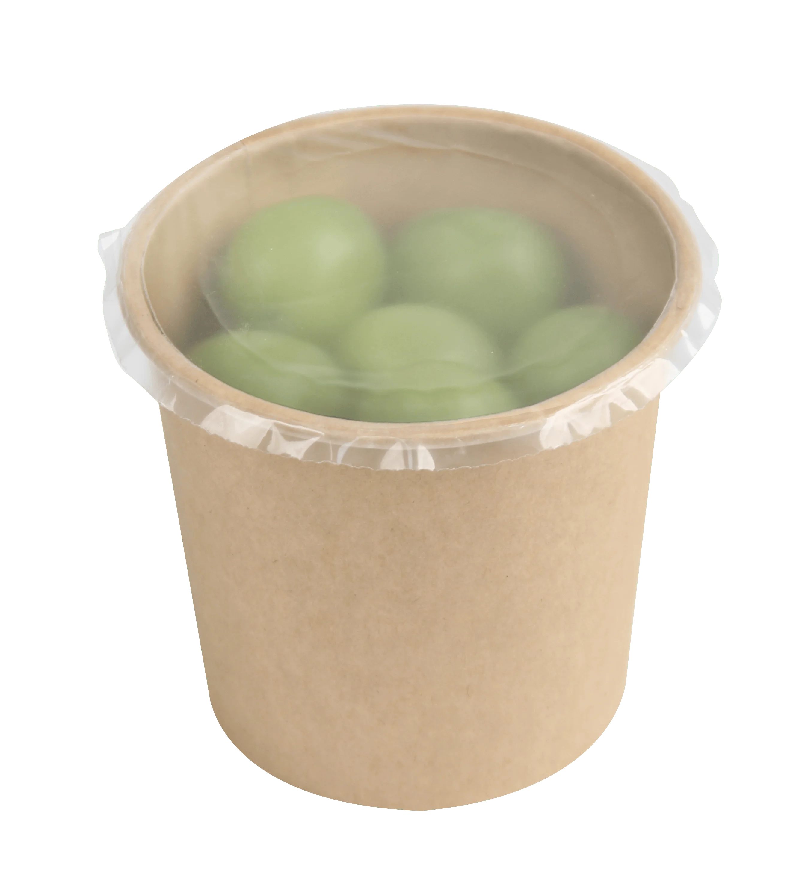 Fresh MAP Soup Container