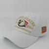 1 samll eagle white