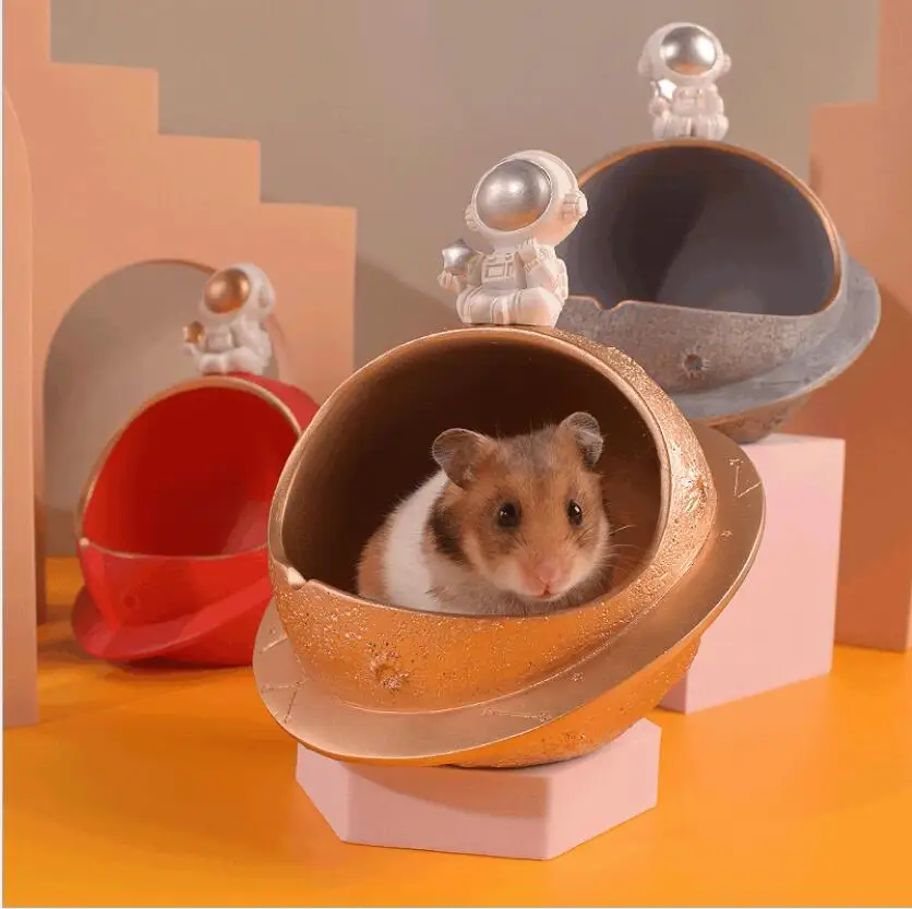 cool hamster stuff