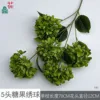 Hortensia Candy HN de 5 cabezas, verde oscuro, sin hojas