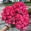 Rose rouge