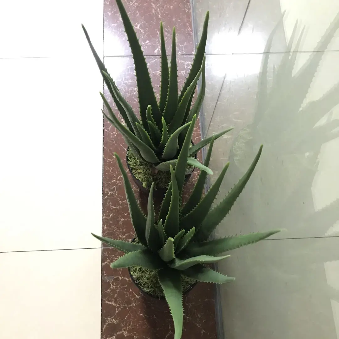 Aleo 56cm 17 Leaves Decoration Green Plant Simulation Plant Bonsai  Artificial Aleo Vera Plants