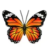 Naranja
