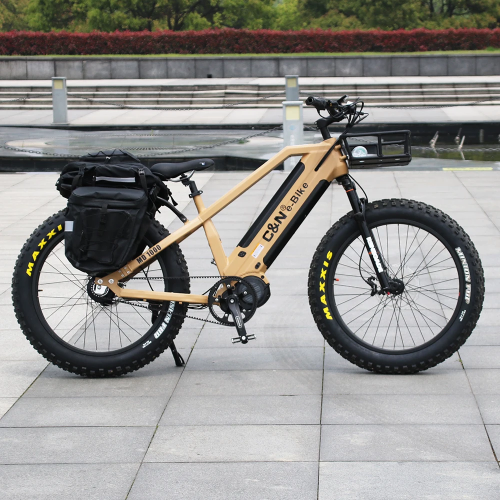 Rohloff 14 Speed Internal Gear Hub Belt Drive Dual Batteries 1000w Bafang Ebike 48v Electric Bicycle Electric Bike Made in China