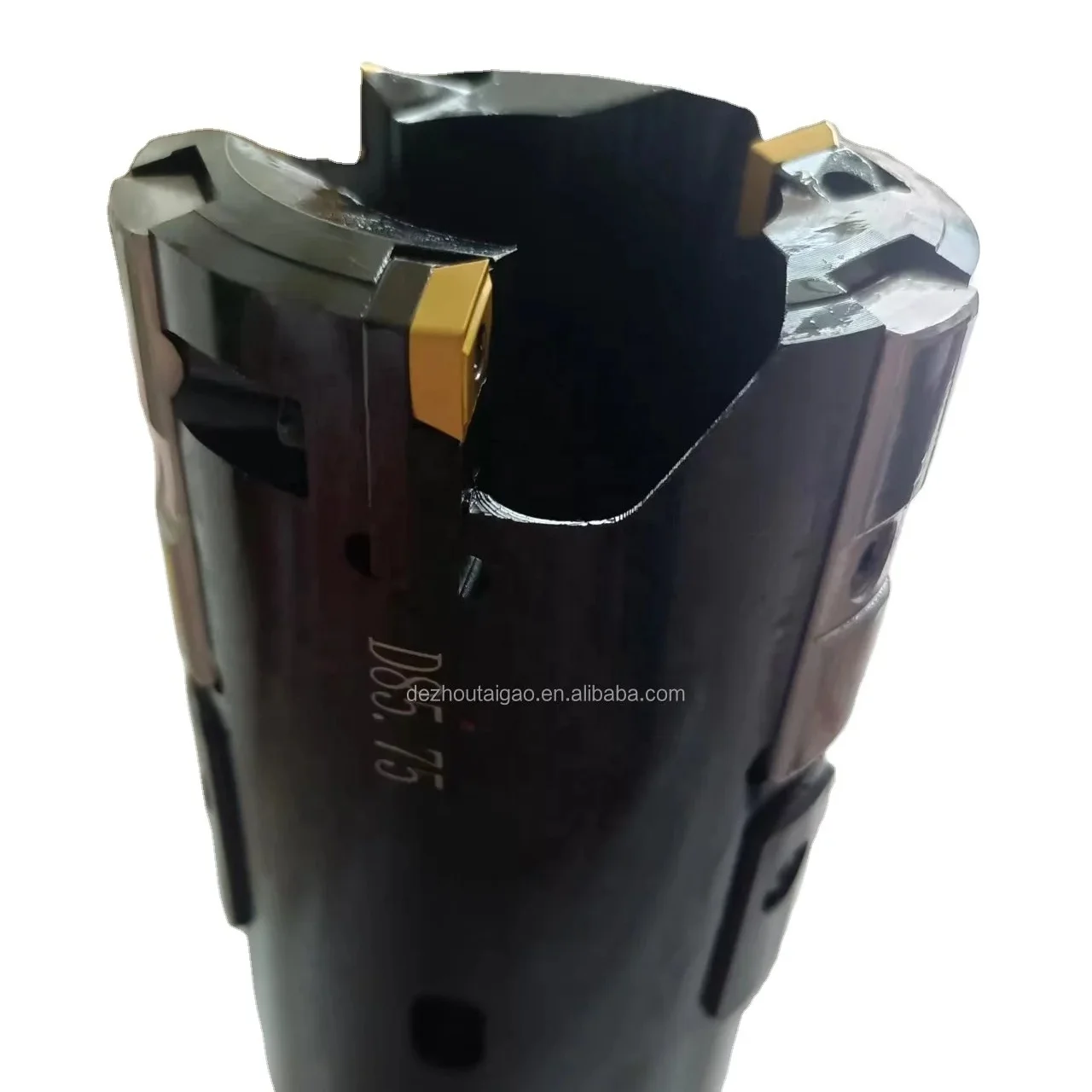 High Quality Trepanning Tools Deep Hole Drill Head With Inserts and Guide Pads