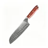 Santoku Knife