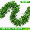 90-leaf pothos (5 leaves)