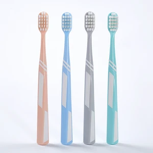 Customizable Disposable Ultra Soft Nylon Bristle Toothbrush Adults Biodegradable Plastic Handle Home Use Regular Size Direct