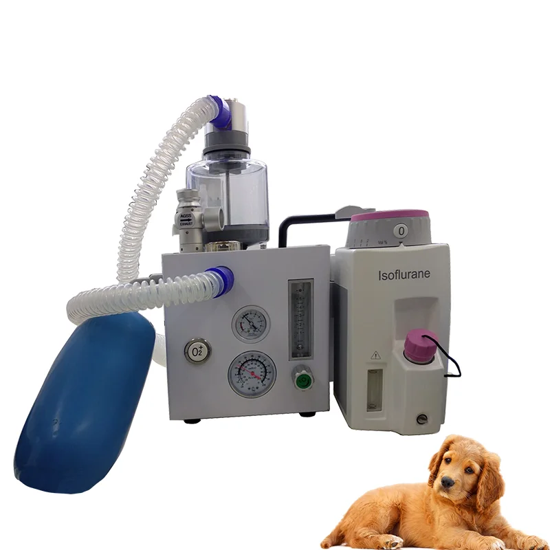 2021 Best Selling Veterinary Hospital Clinic Medical Anesthesia Machine for Animals
