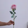 สีชมพู