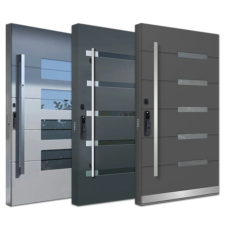 External Security Main Entrance Metal 304 Ss Stainless Steel Single Gate Door Design with Handle Smart Lock and Stopper