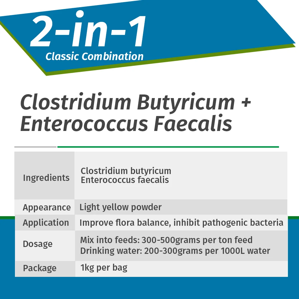 New Type Probiotic Clostridium Butyricum for Chicken Broiler Layer Poultry Gut Health Flora Regulation Feed Grade