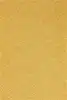 Gold Yellow