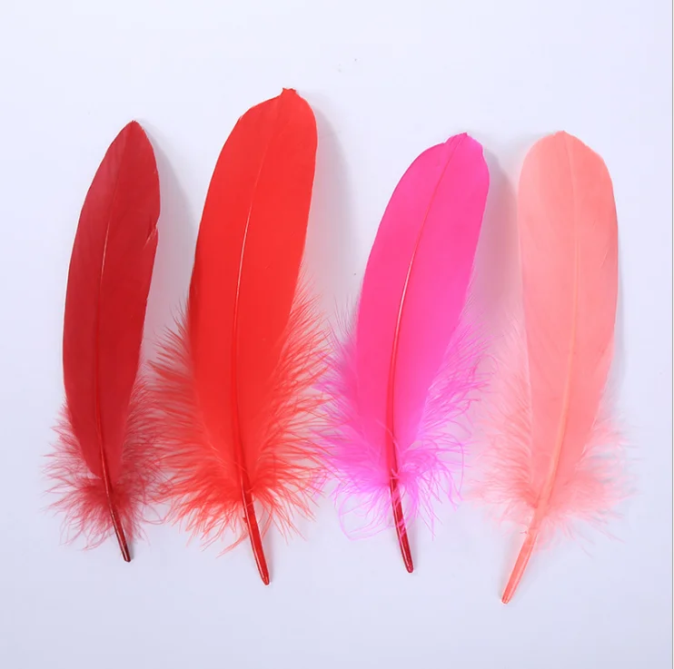 Different Kinds Colors Goose Feathers For Sale Cheap Buy Feathers