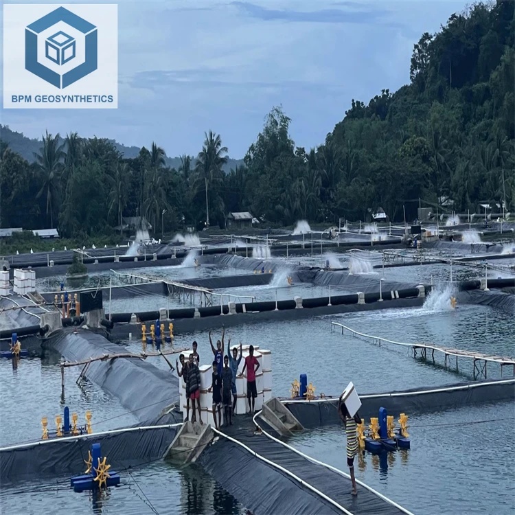 HDPE Geomembrane Liner 1mm HDPE Hydrogen Tank Liner
