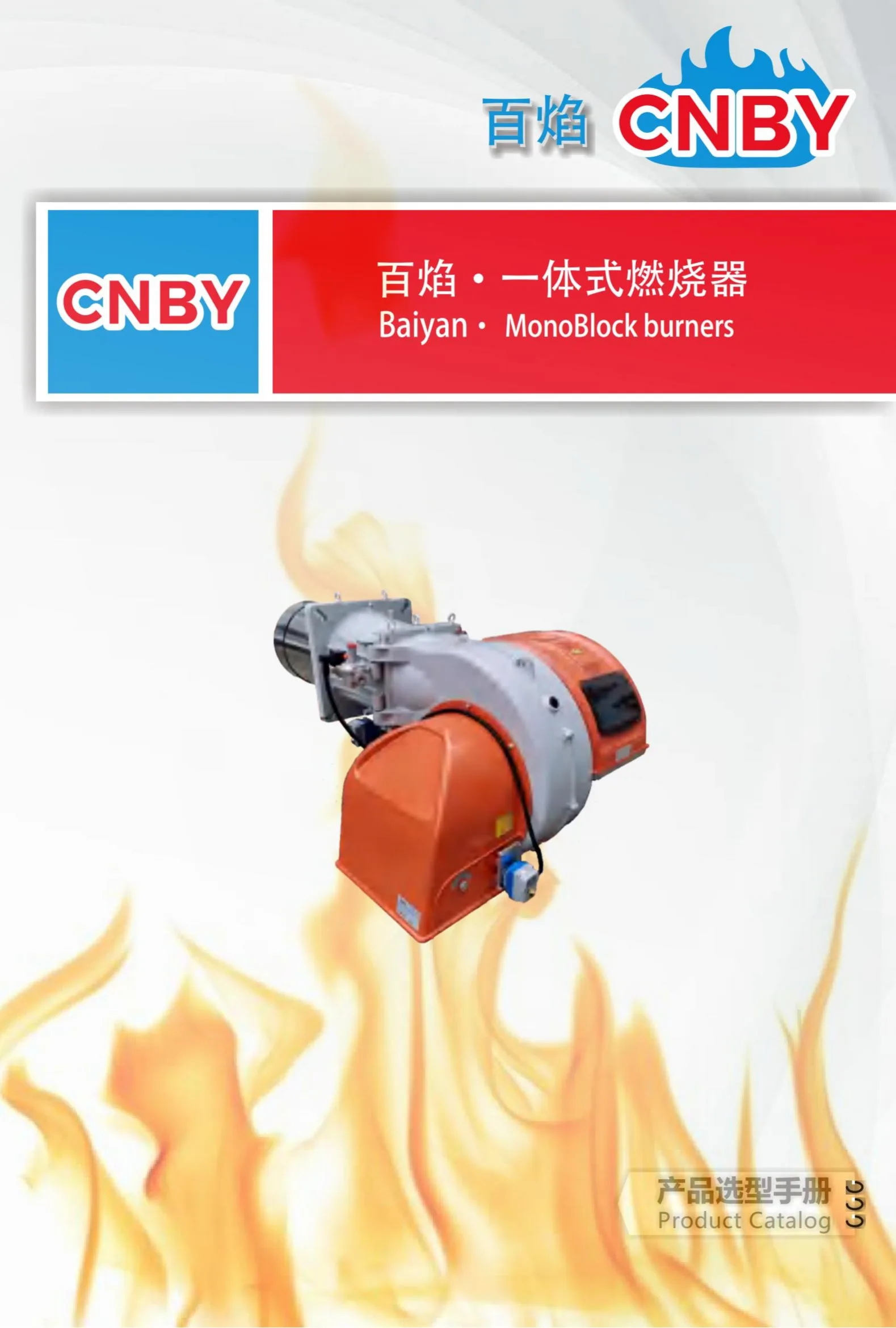 Steam Boiler, BAIYAN, Stainless, Steel - detail 2