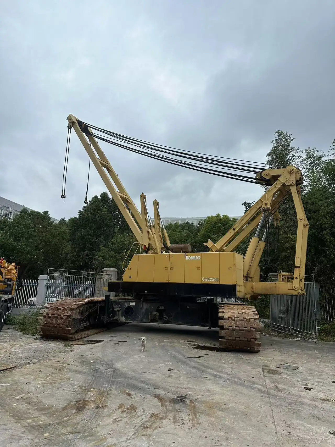 Excellent Working Condition 250 TON Crane USD Kobeclo 2500 CKE2500 Crawler Crane With Jibs Boom Construction for Sale in Asia