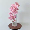 Dark Pink