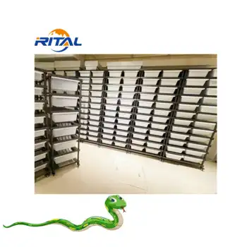 Ball Python Reptile Snake Rack System Snake Breeding Rack With Hide ...