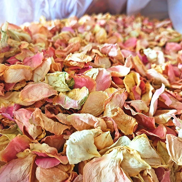 white rose petals (3)_.jpg