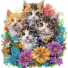 colorful 3