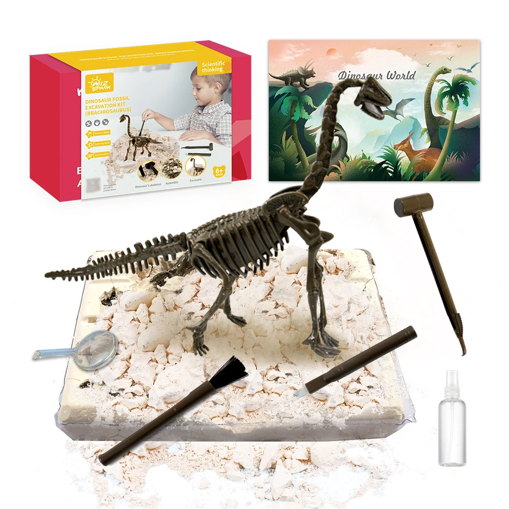Wholesale wholesale plastic kids archaeology educational fossils dinosaur toys science dinosaur fossil Digging Dig Kit mold for kid sale From m.alibaba