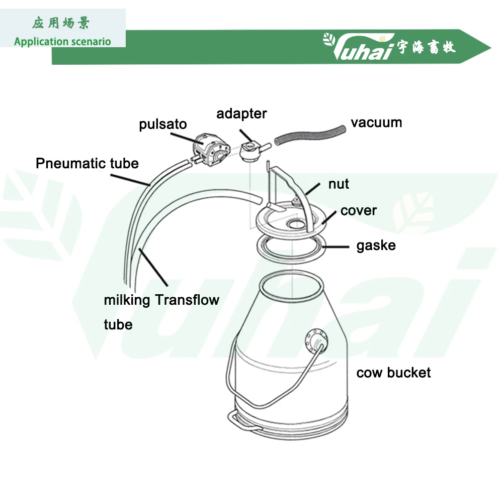 product stainless steel milking bucket for farm dairy use  cow goat milking machine bucket farm milking machine accessories-2