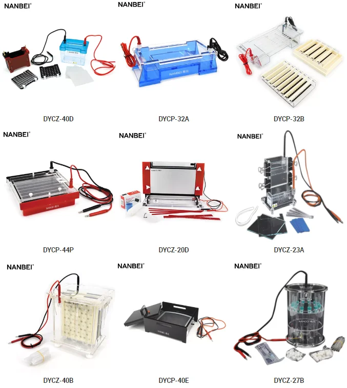 NANBEI Medical Lab Double Vertical Protein Gel Electrophoresis Apparatus System