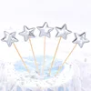 Five-pointed star/silver