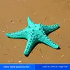 Style09_36cm green starfish