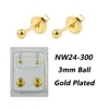 NW24-300