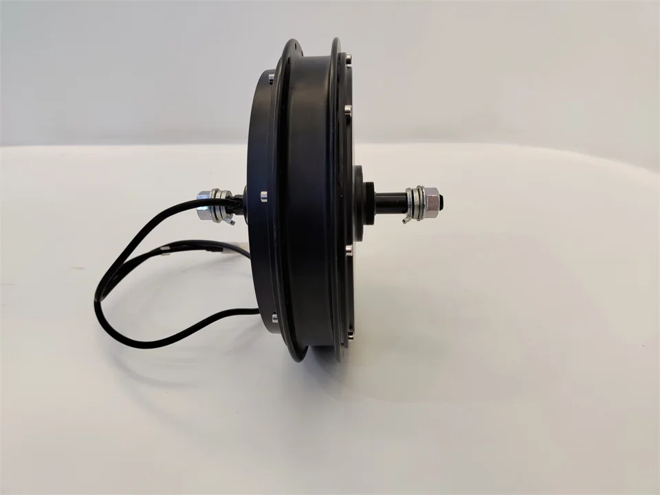 Professional Supplier Electric Bike DIY&Customized Motor Kits M5 LCD Display 36V 48V 500W 750W Rear Gearless Spoke Motor for Fat