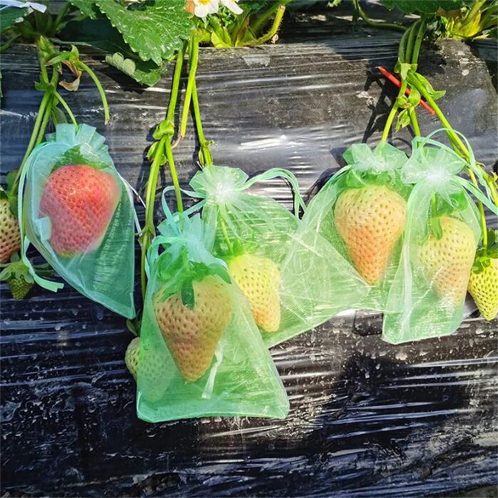 100 Sacs De Protection Pour Fruits En Organza – 15x20 Cm, Avec Cordon, Contre Guêpes, Oiseaux, Insectes (raisin, Tomate, Etc.) - 11