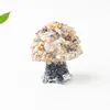 Agate folle colorée