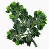 Foglie di banyan sovraincollate con steli verdi