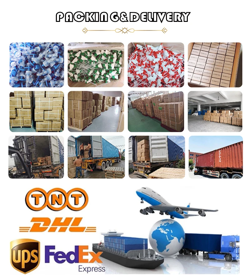packing&delivery