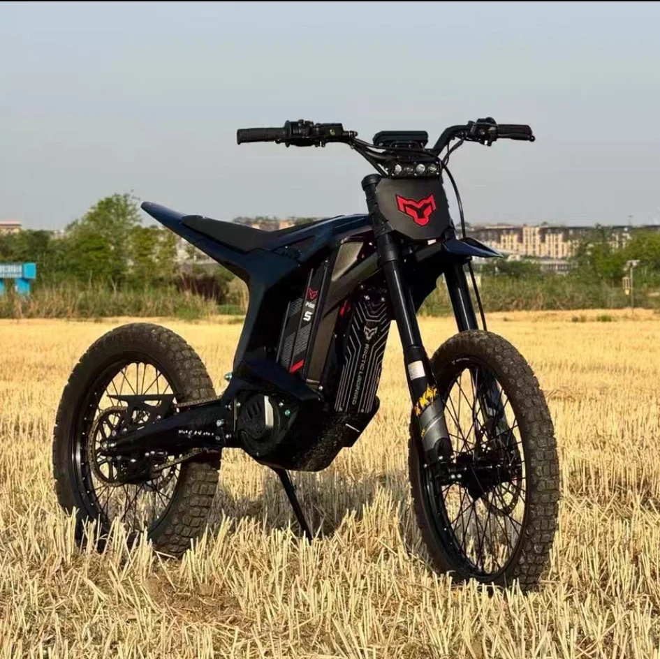 Arctic Leopard Clouded Leopard XE PRO S 2025 Electric Motorcycle