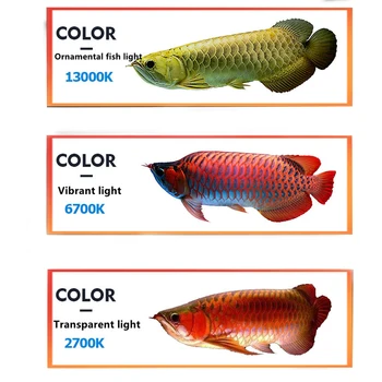 Zaohetian Tanning Lamps for Aquarium - 6700K & 13000K