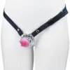 ceinture + cage à anneaux incurvés + papillon rose