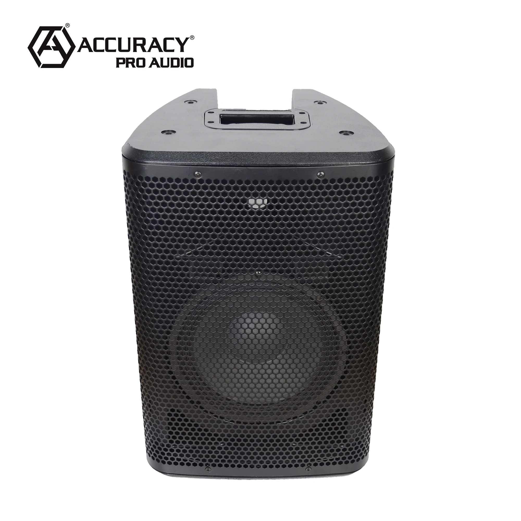 Accuracy Pro Audio CAO10DSP 10 Inch DSP Powered Speakers Home Party pa Active Portable Sound System Speaker Box