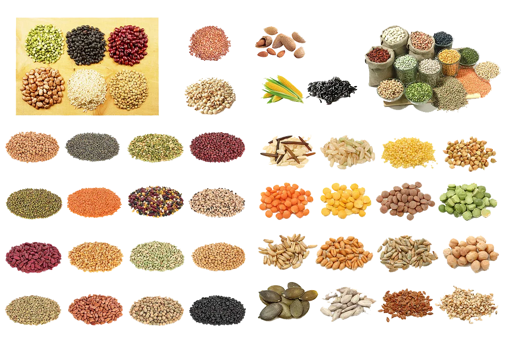 WENYAO Optical Seeds Color Sorting Machine Muster Seeds Radish Seeds Color Sorter for Sale 2