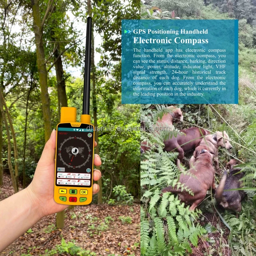 Wholesale Custom New Ip67 Waterproof Hunting Dog Collar Option Up To 10