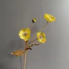 Giallo1