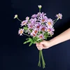 Pourpre