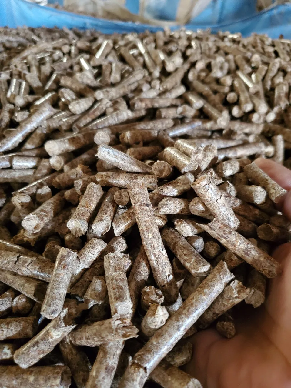 Biomass Burners Wood Pellet Viet Nam Fuel Wood Pellets Quality Wood ...