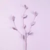 Tamaño pequeño en flores y ramas de color morado.